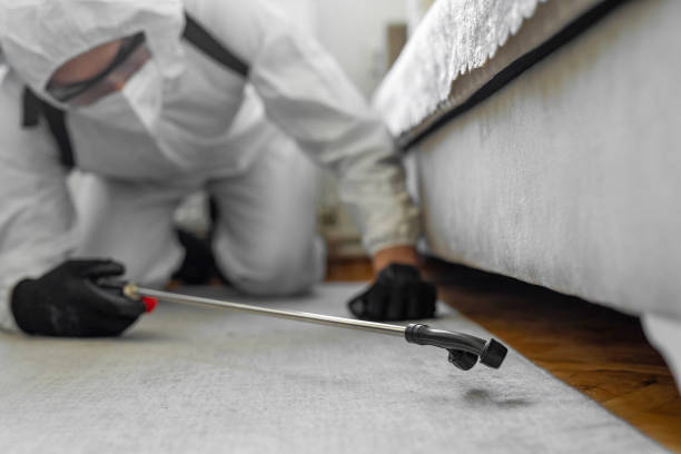 Professional Termite Control technician working in Byron, MN