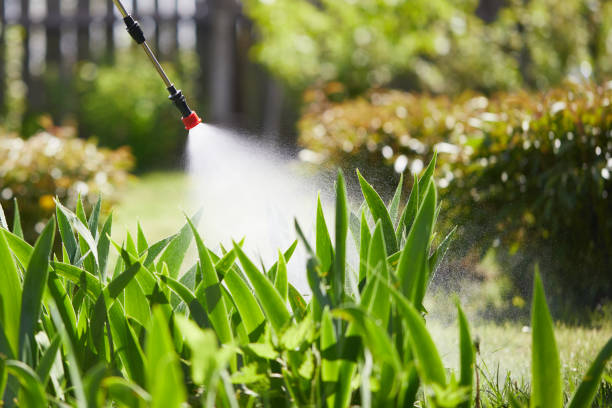 24/7 Emergency Termite Control experts in Byron, MN
