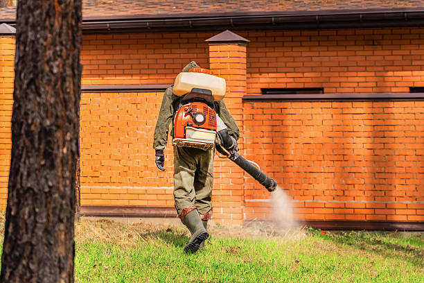 Top rated local Termite Control specialists in Byron, MN